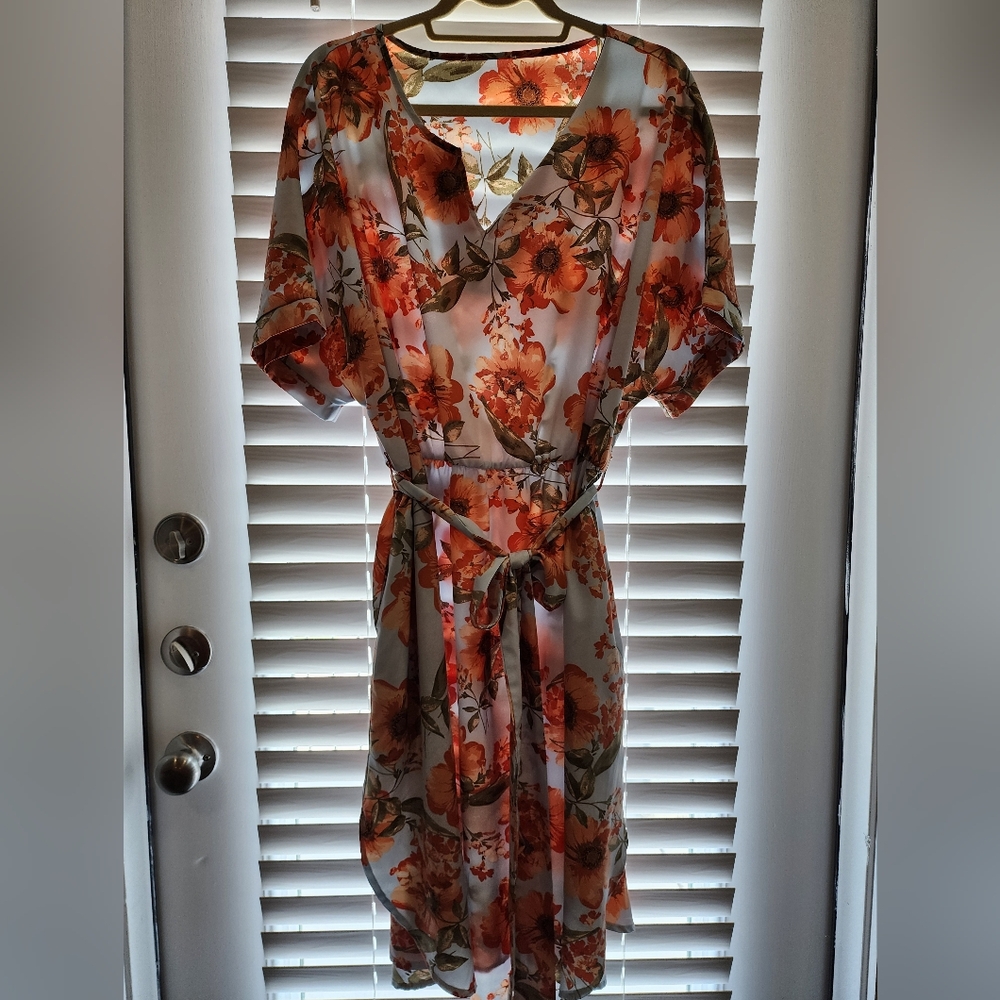 AMAZON dress
